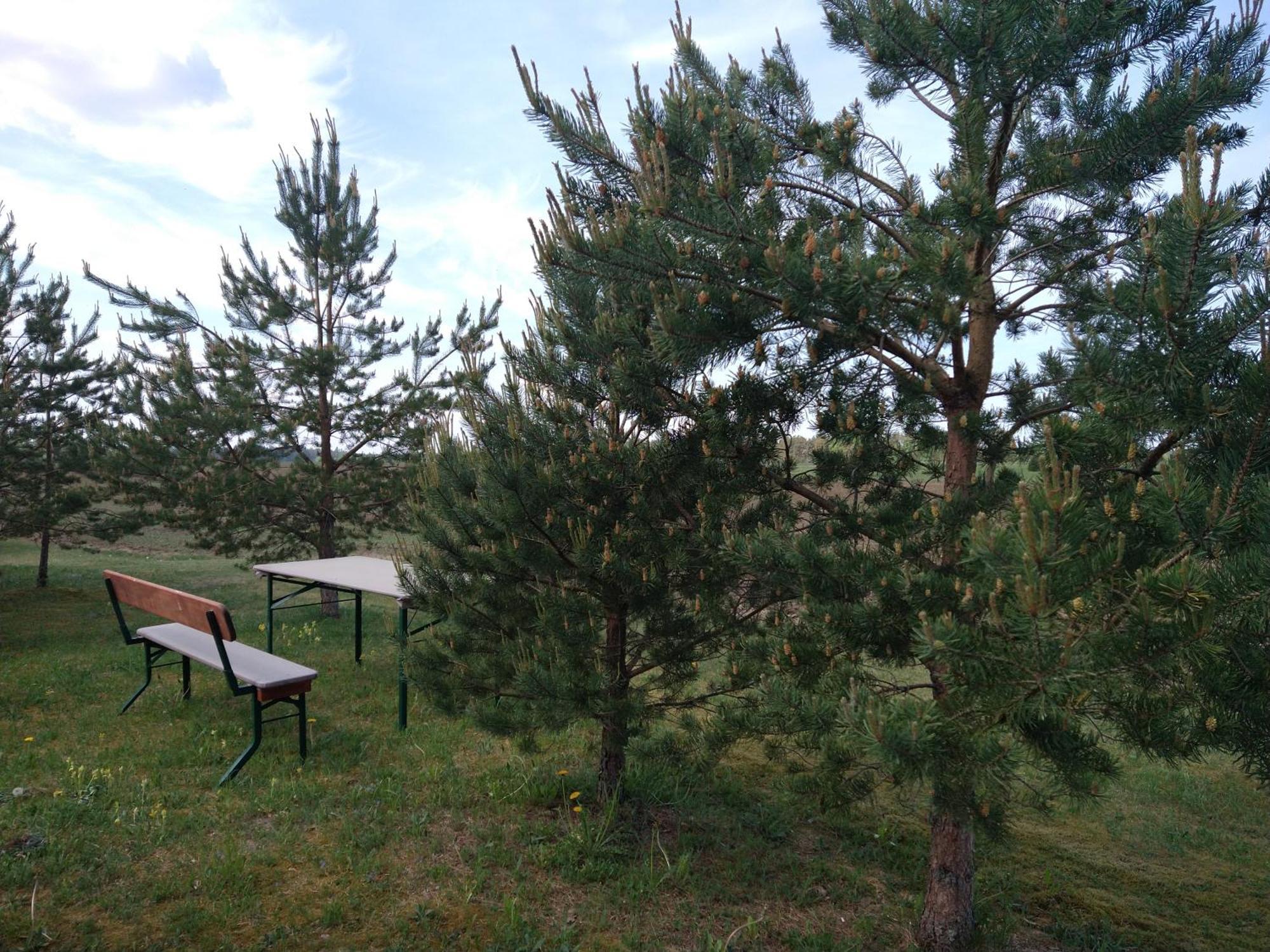 Lahemaa Kohvikann B & B, Caravan Park Palmse 外观 照片